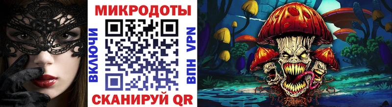 площадка формула  Новотроицк  Галлюциногенные грибы MAGIC MUSHROOMS 